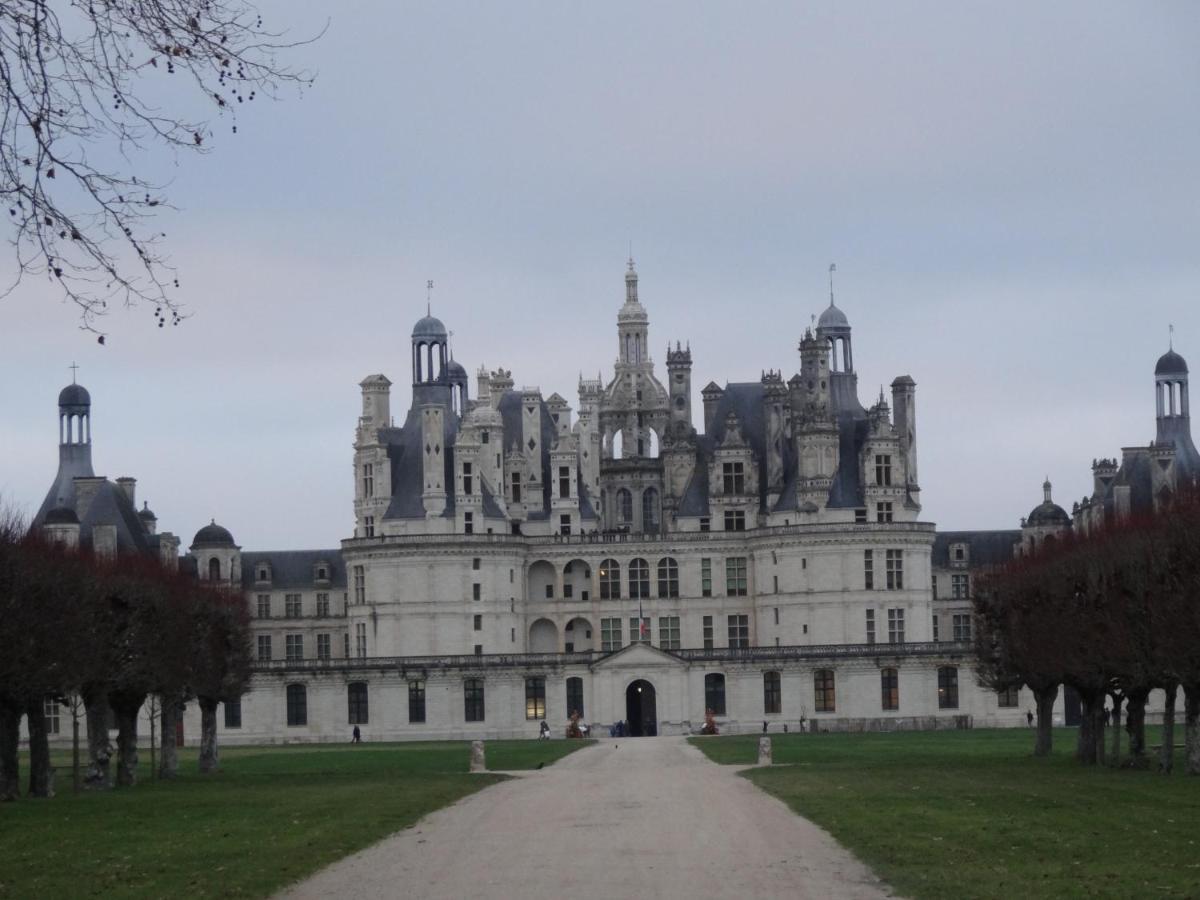 Le Cerf Solognot Proche Chateau Chambord, Lamotte Beuvron *
